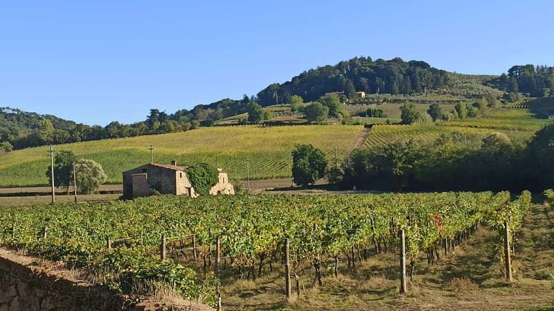 Transfer Siena-Florence with visit to Chianti and tasting - The Sum Up: Who Should Book This Tour?