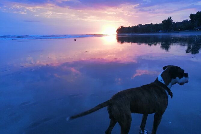 transfer-to-from-sjo-airport-to-esterillos-bejuco-not-shared