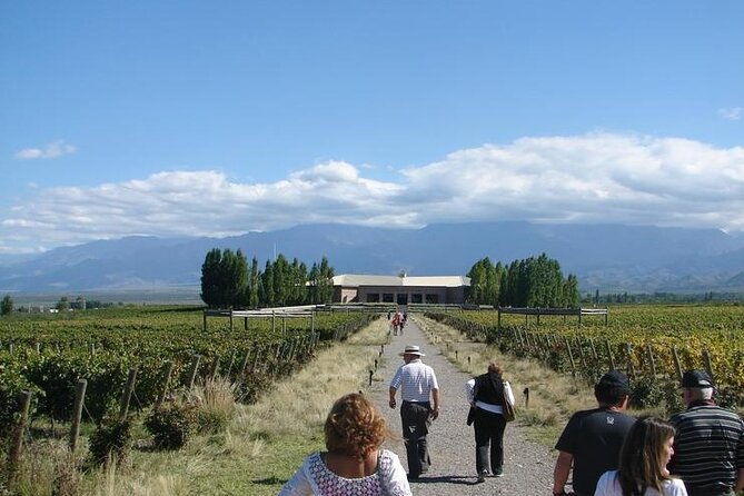 transfer-to-salentein-uco-valley-with-lunch-and-visit