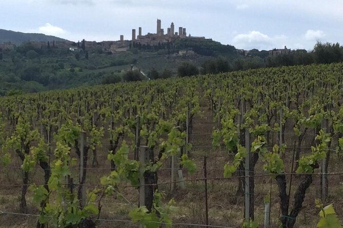 transfer-tour-florence-to-lucca-with-a-stop-in-san-gimignano