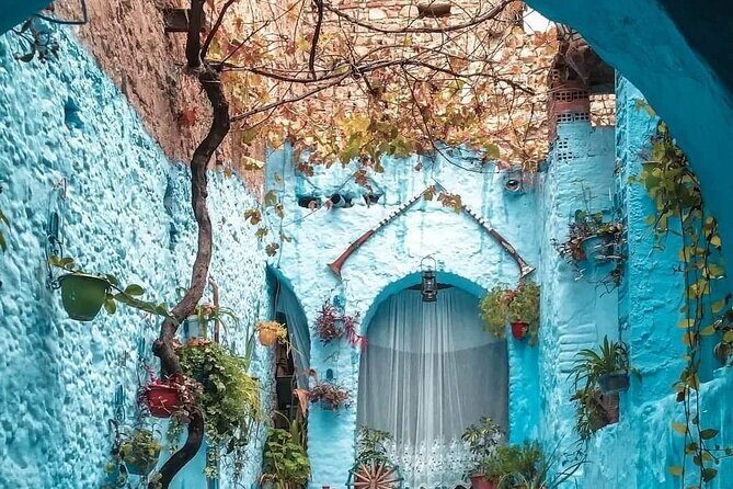 Transfers from Tangier to chefchaouen "blue city" - The Sum Up