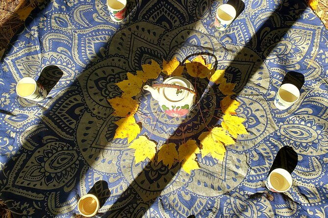 transformative-forest-immersion-a-mindful-journey-for-inner-calm