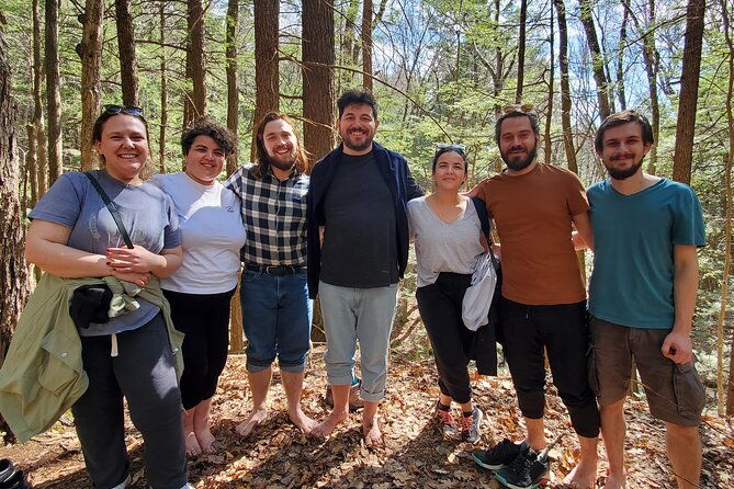 transformative-forest-immersion-a-mindful-journey-for-inner-calm