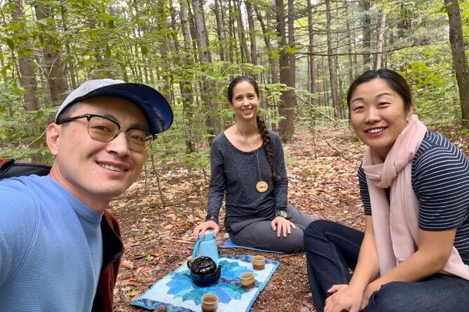 transformative-forest-immersion-a-mindful-journey-for-inner-calm