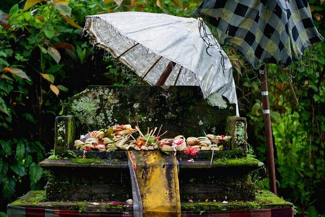 Transformative Journey of Holistic Self-Discovery - Key Points