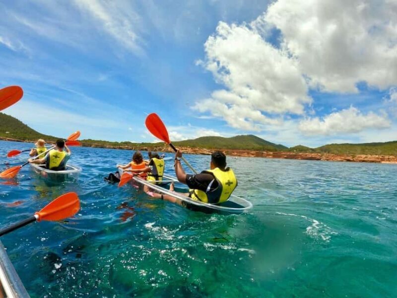 Transparent Kayak or SUP Guided Tour in Pou des LLeo - Key Points