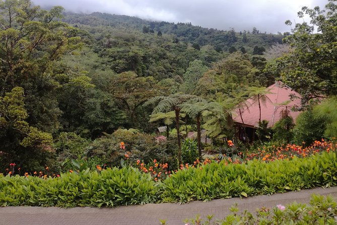transport-from-san-jose-to-la-fortuna
