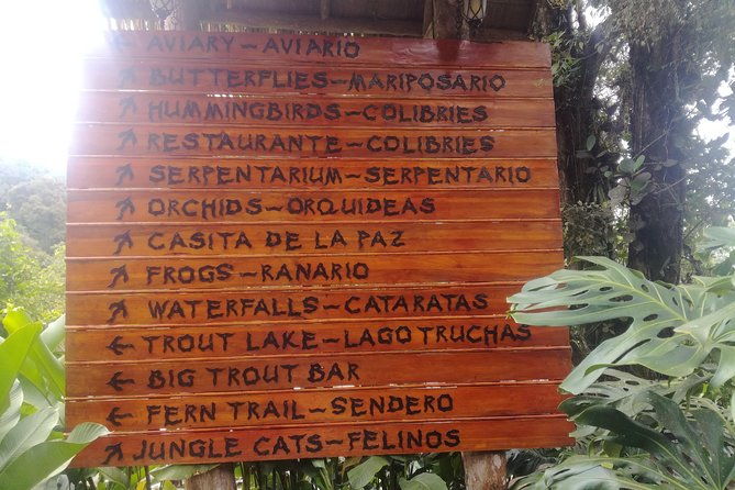 transport-from-san-jose-to-la-fortuna