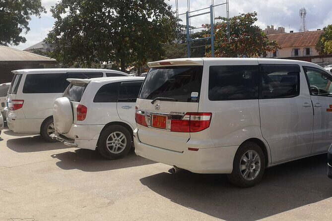 Transport in Zanzibar - What to Expect on Your Transfer