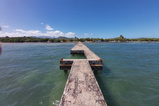 transportation-from-san-juan-to-ceiba-ferry-or-airport
