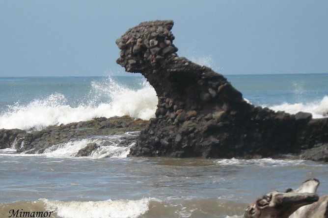 transportation-to-playa-sunzal-zonte-el-tunco-atami-palmarcito