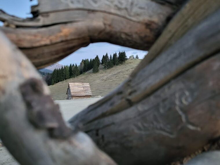 transylvania-unveiled-legends-heritage-real-experiences