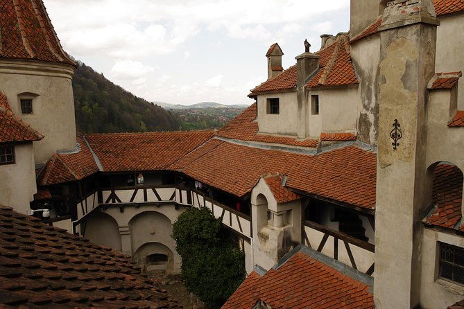 transylvania-with-dracula-castle-bear-sanctuary-and-brasov