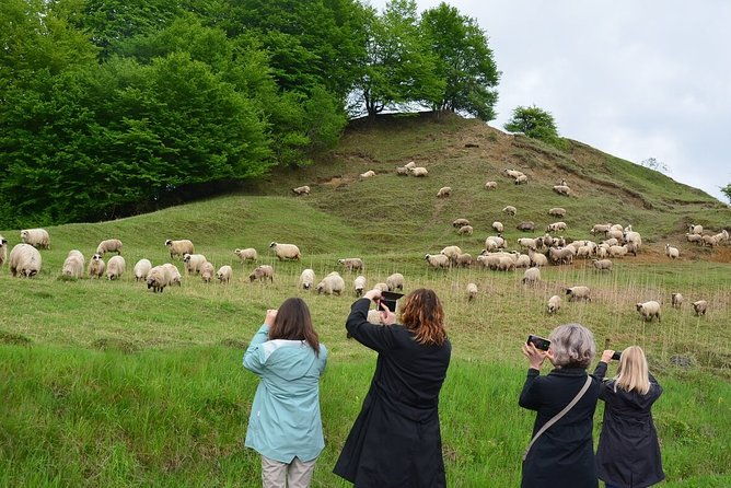 transylvanian-week-2