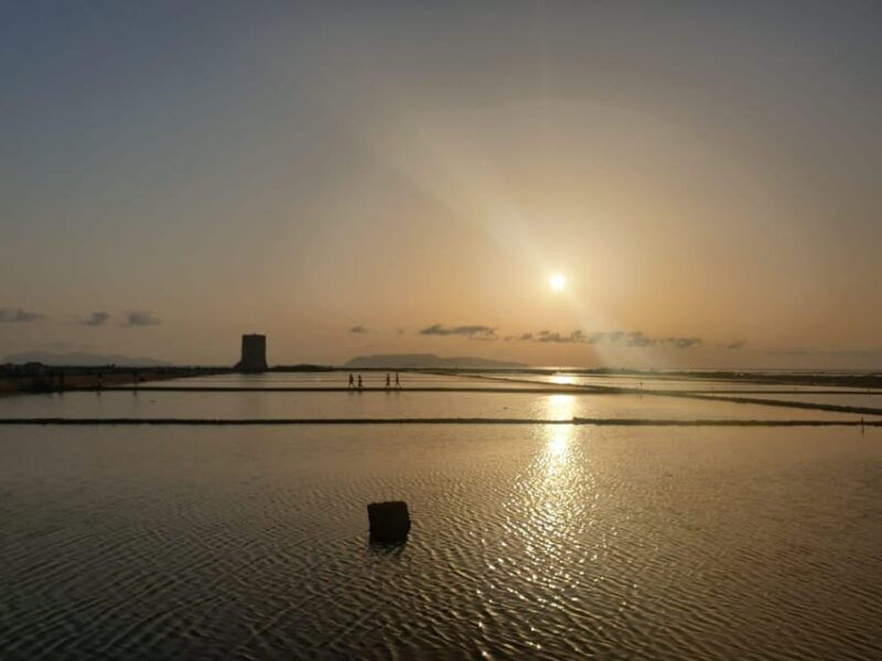 trapani-salt-pans-sunset-tour-and-flamingo-way