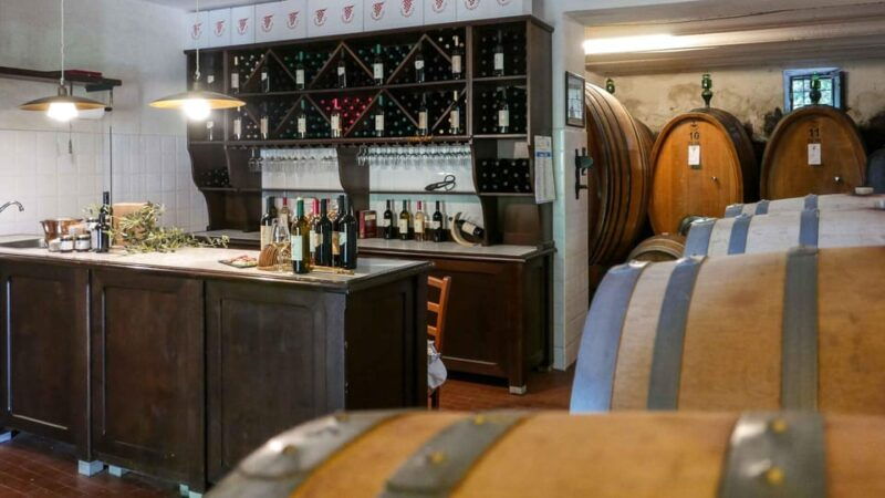 trasimeno-discovering-montemelino-wine-experience