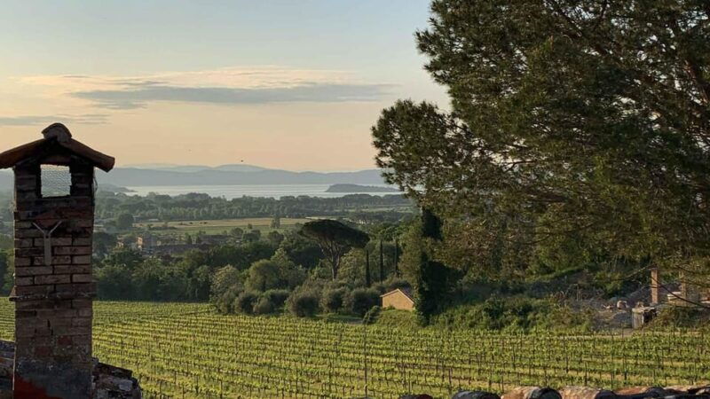 trasimeno-discovering-montemelino-wine-experience