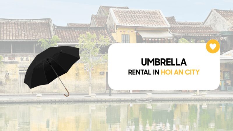 Travel Accessories: Baby Seat, Umbrella, Wheelchair in HoiAn - Equipment Options and Their Benefits