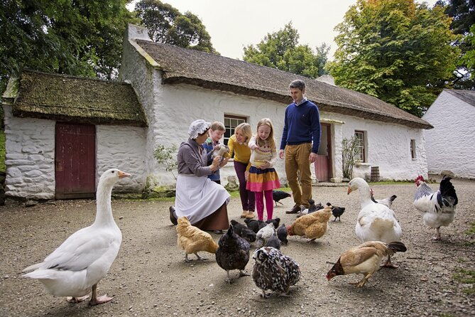 travel-and-experience-the-emerald-isle