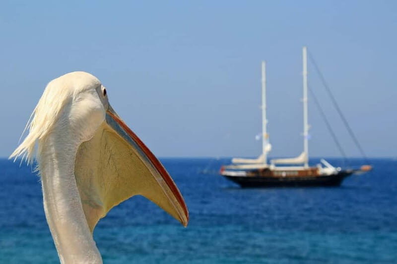 Travel from Athens to Mykonos one day - Exploring Mykonos