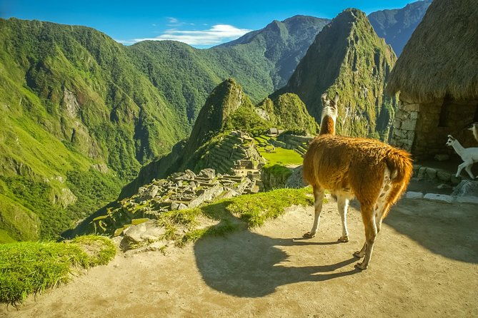 travel-to-machu-picchu