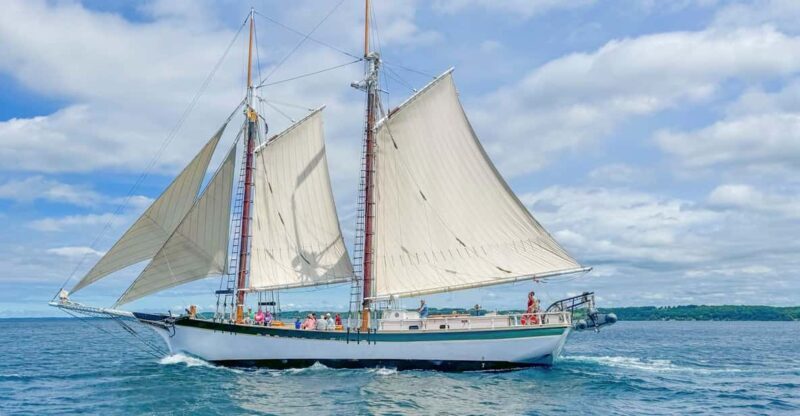 Traverse City: Morning Sail with Local Anishinaabe Guide - An In-Depth Look at the Experience
