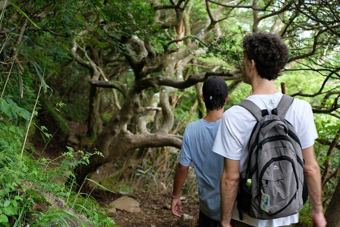 traverse-outer-rim-of-hakone-caldera-and-enjoy-onsen-hiking-tour