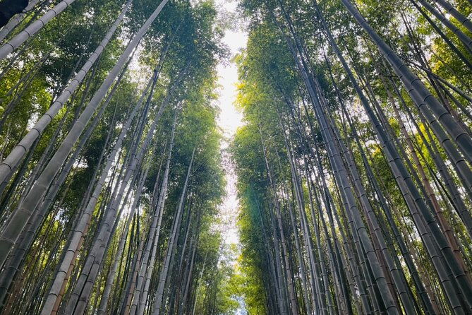 traversing-kyotos-scenic-west-arashiyama-to-kinkakuji-2