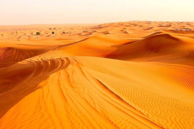Treasures of Jordan Tour-7 Days Discover Petra & Dead Sea & Wadi Rum with Hotels - FAQ