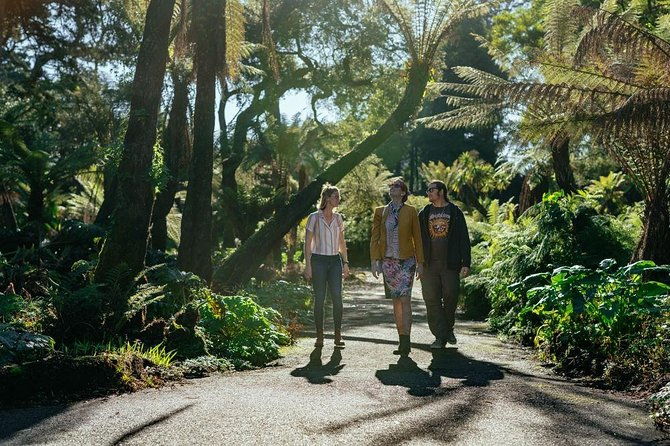 treasures-of-san-francisco-golden-gate-park-private-tour