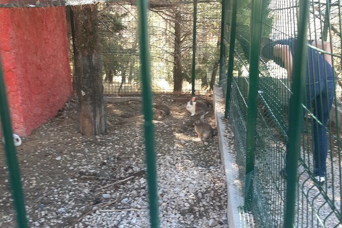 trebinje-gastro-tour-from-dubrovnik