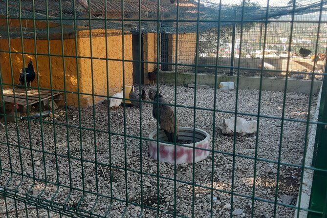 trebinje-gastro-tour-from-dubrovnik