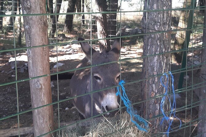 trebinje-gastro-tour-from-dubrovnik