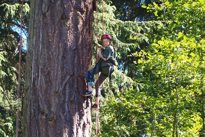 Tree Canopy Climbing on Lopez Island - Why This Tour Is a Great Choice