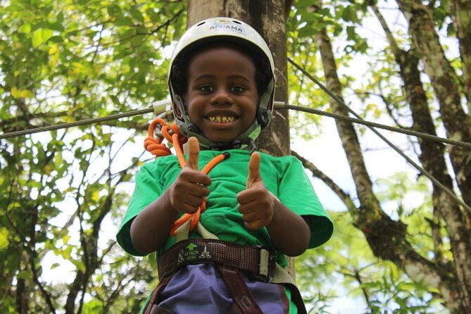 tree-climbing-among-the-araucarias