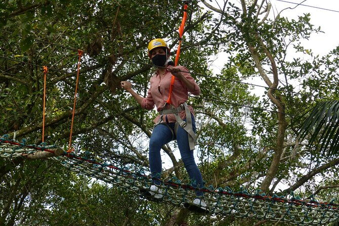 tree-climbing-among-the-araucarias