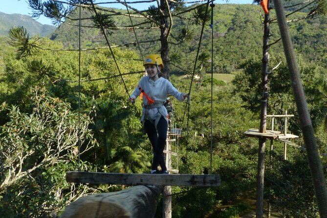 tree-climbing-among-the-araucarias
