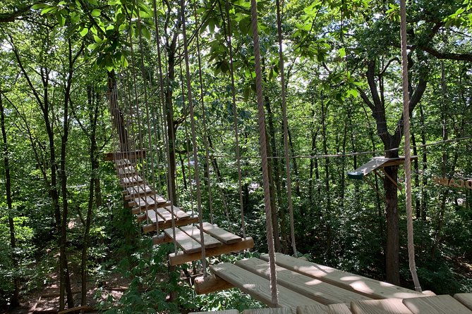 tree-climbing-course-in-the-middle-of-the-forest-in-saint-germain-en-laye-2