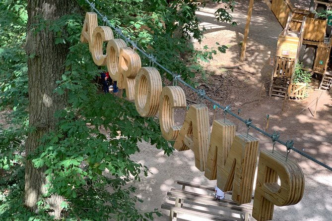 tree-climbing-course-in-the-middle-of-the-forest-in-saint-germain-en-laye-2
