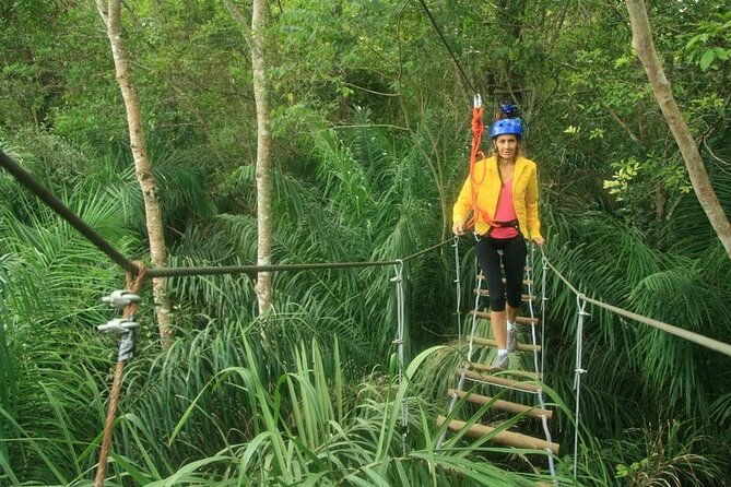 tree-climbing-in-bonito