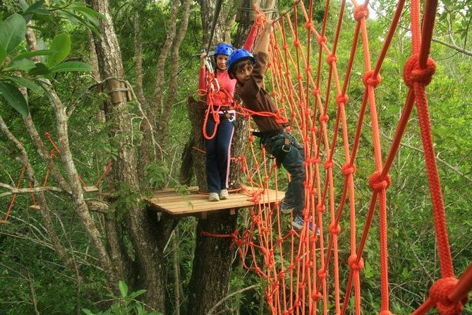 tree-climbing-in-bonito