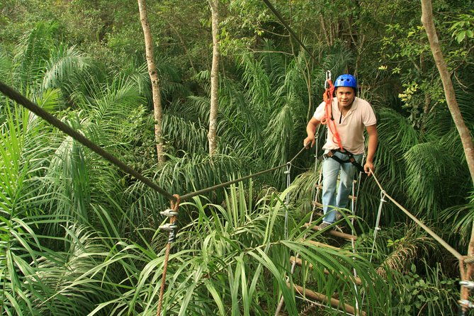 tree-climbing-in-bonito