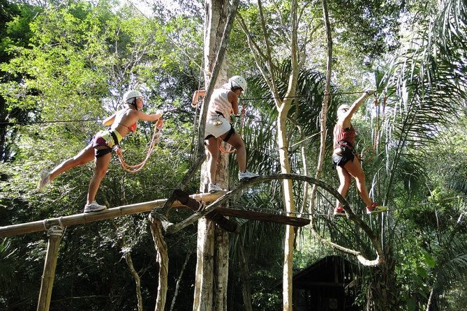 tree-climbing-in-bonito