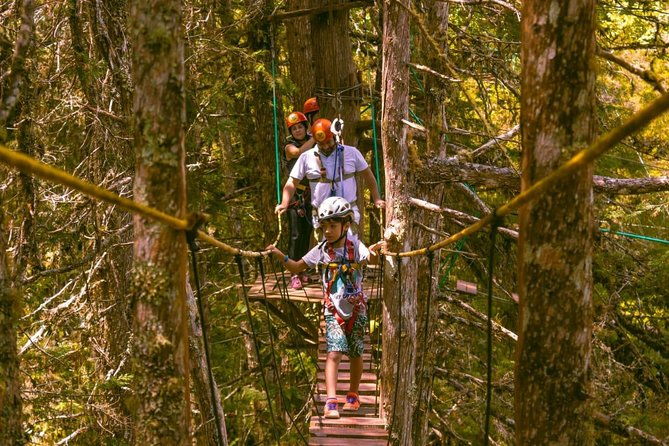 tree-climbing-in-horto-florestal-campos-do-jordao