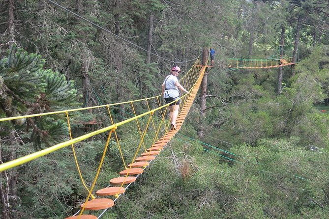 tree-climbing-in-horto-florestal-campos-do-jordao