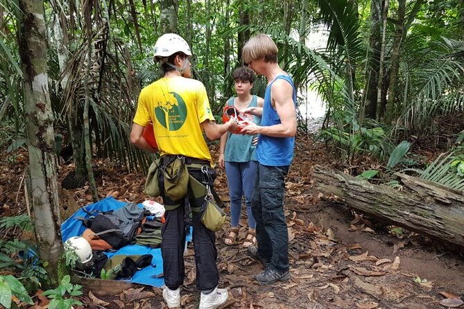 tree-climbing-in-the-amazon