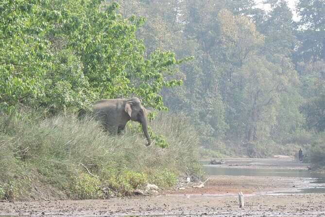Tree House stay in Bardia National Park || 1 Night 2 Days - Early Morning Jungle Safari