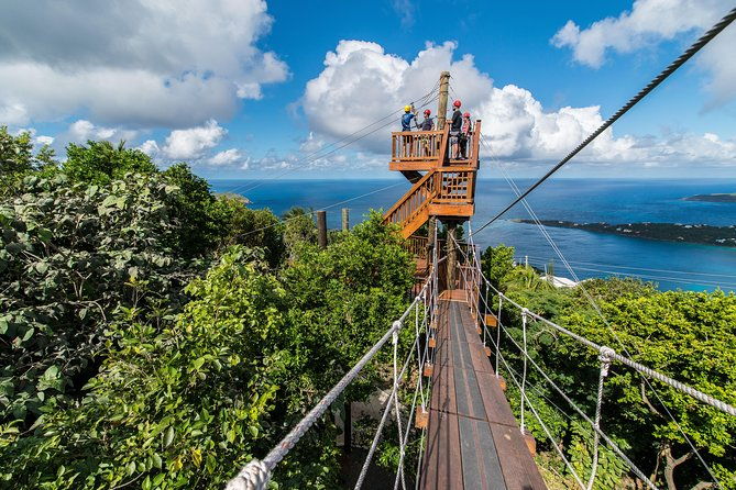 tree-limin-extreme-zipline