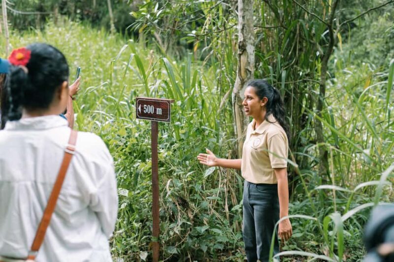 Tree of Life's Coffee Heritage Trail - Who Should Consider This Tour?