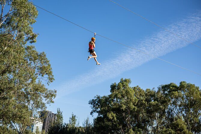 Tree Top Activity for Thrill Seekers and Adventurers in Adelaide - Tree Top Activity for Thrill Seekers and Adventurers in Adelaide